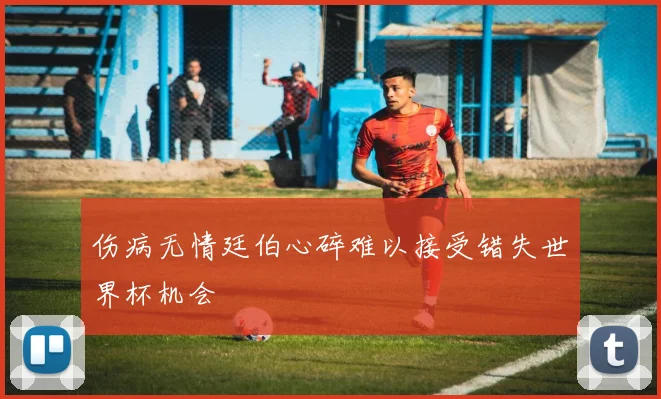 伤病无情廷伯心碎难以接受错失世界杯机会